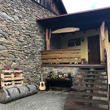 Spicak - U Barabu Apartment Železná Ruda Exterior foto