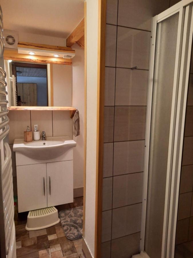 Spicak - U Barabu Apartment Železná Ruda Exterior foto